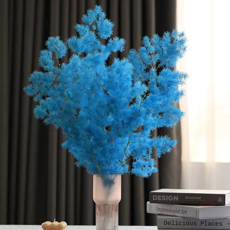 ming fern/Asparagus